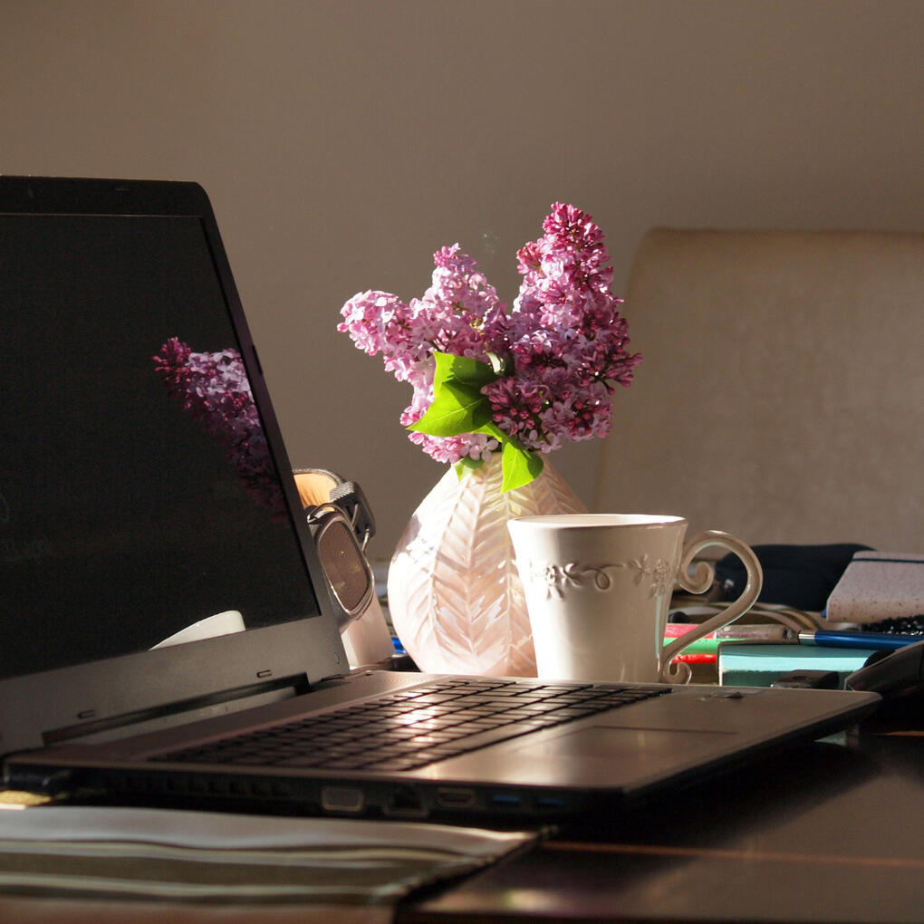 Social media em home office